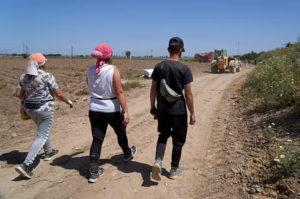 Isabel, Alba y Samuel regresan a la cosechadora después de su descanso.GOGO LOBATO